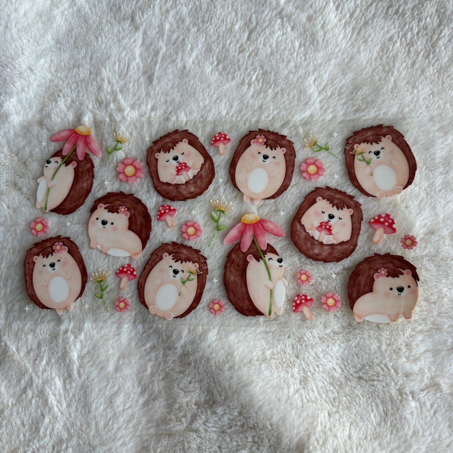16oz UV DTF Wrap (Double Sided) | Ready To Ship | Cutesy Hedgehog