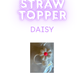 Straw Topper