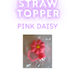 Straw Topper