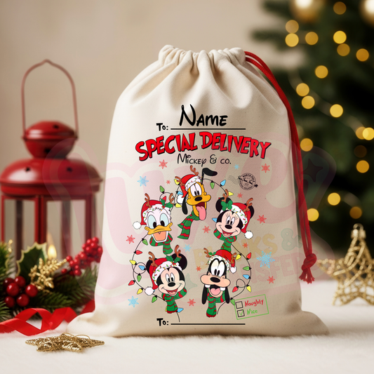 Mickey & Co 2 | Santa Sack DTF Heat Transfer | #24