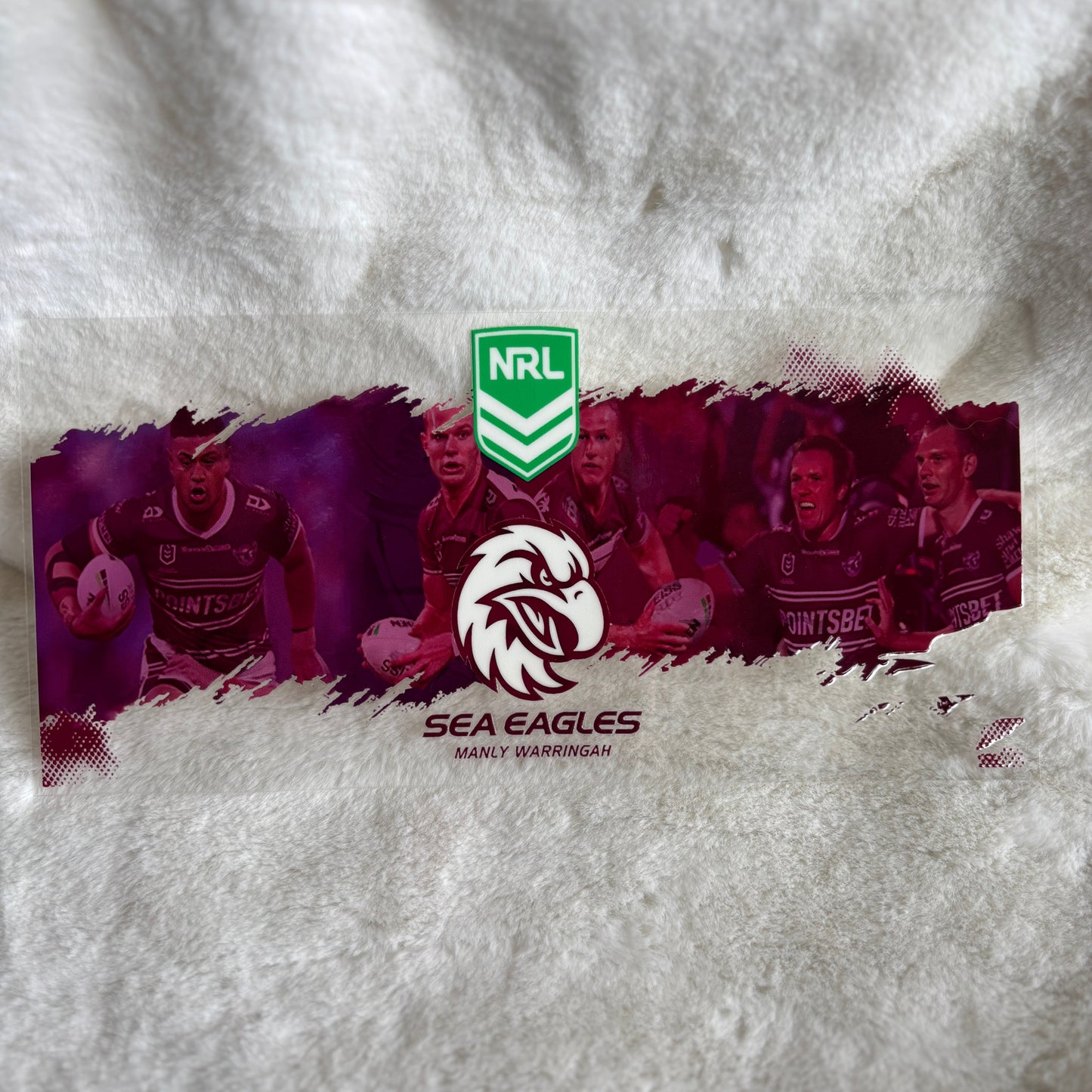 "Sea Eagles" UV DTF Wrap (C55A)